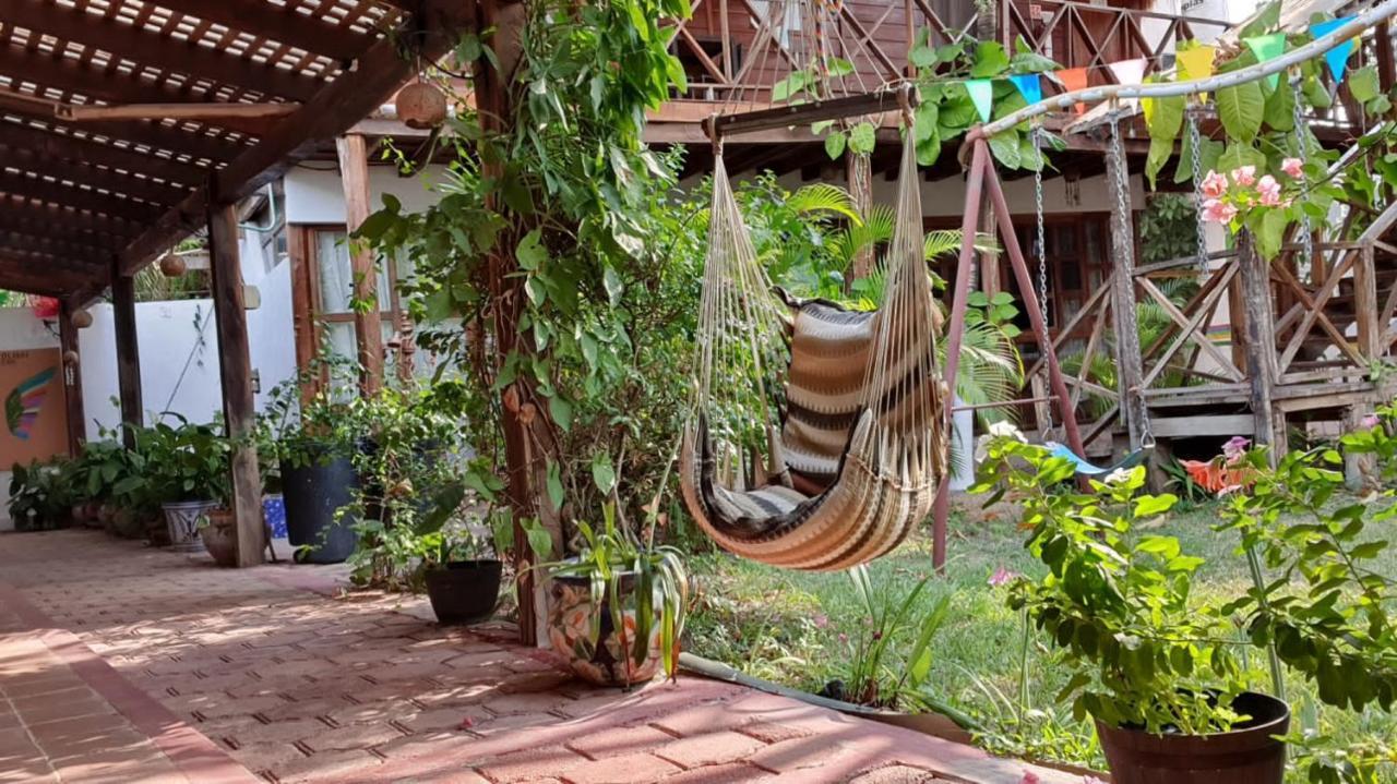 Cabanas Colibri Bacalar Exterior photo