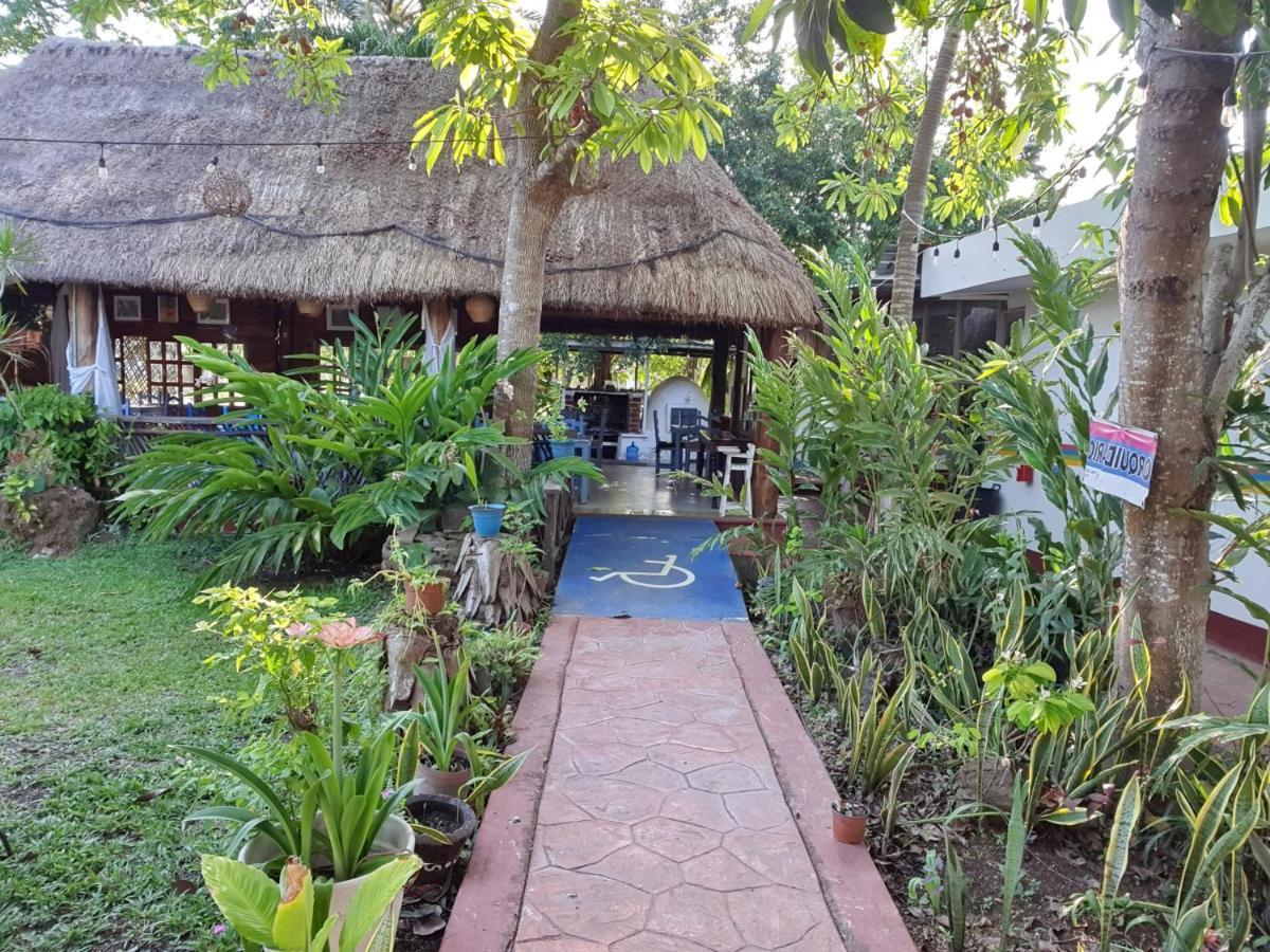 Cabanas Colibri Bacalar Exterior photo