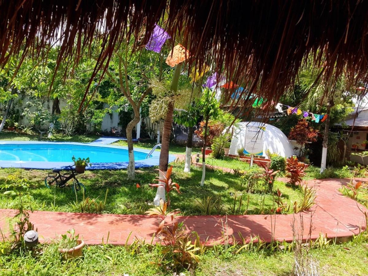 Cabanas Colibri Bacalar Exterior photo