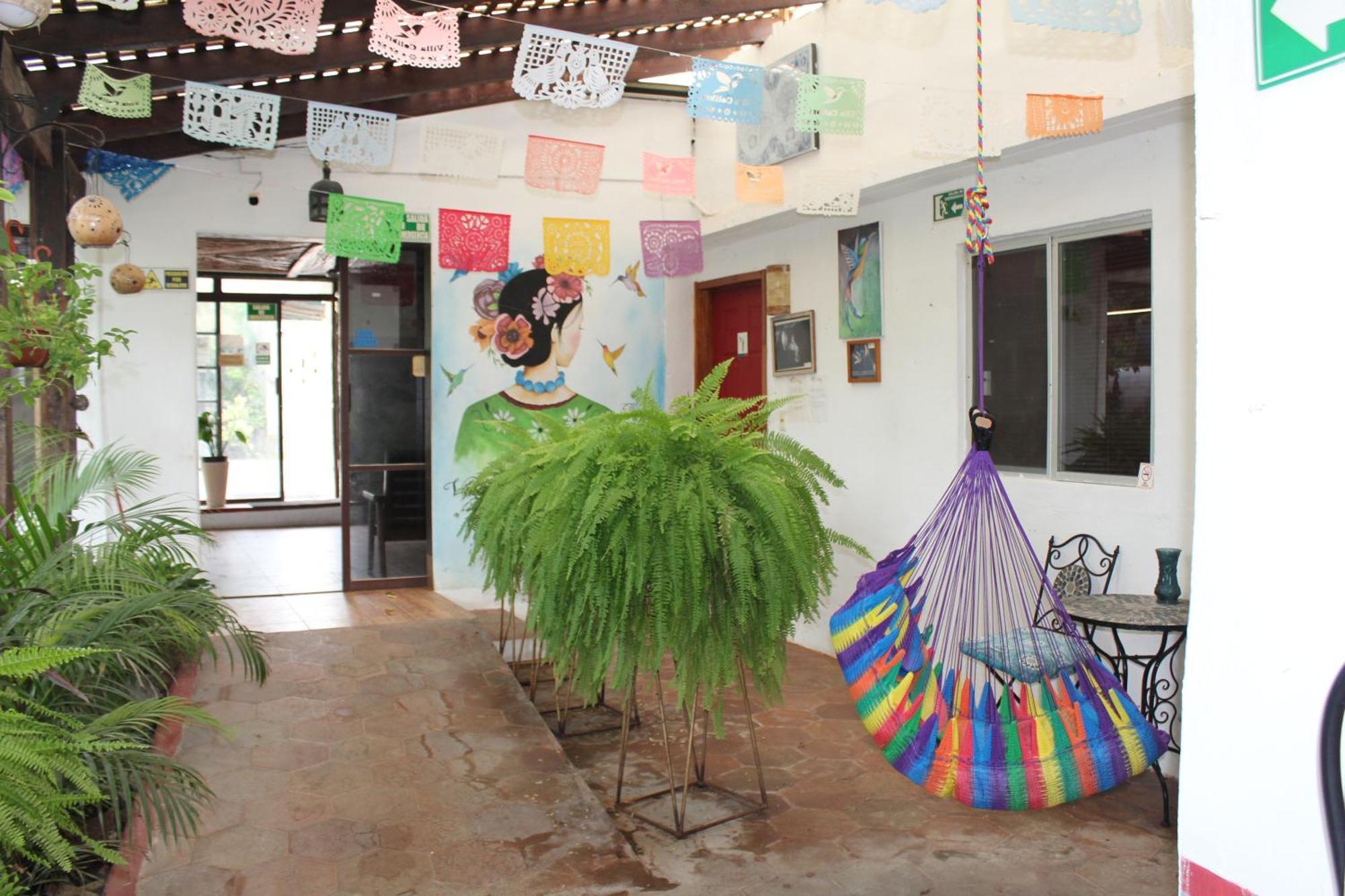Cabanas Colibri Bacalar Exterior photo